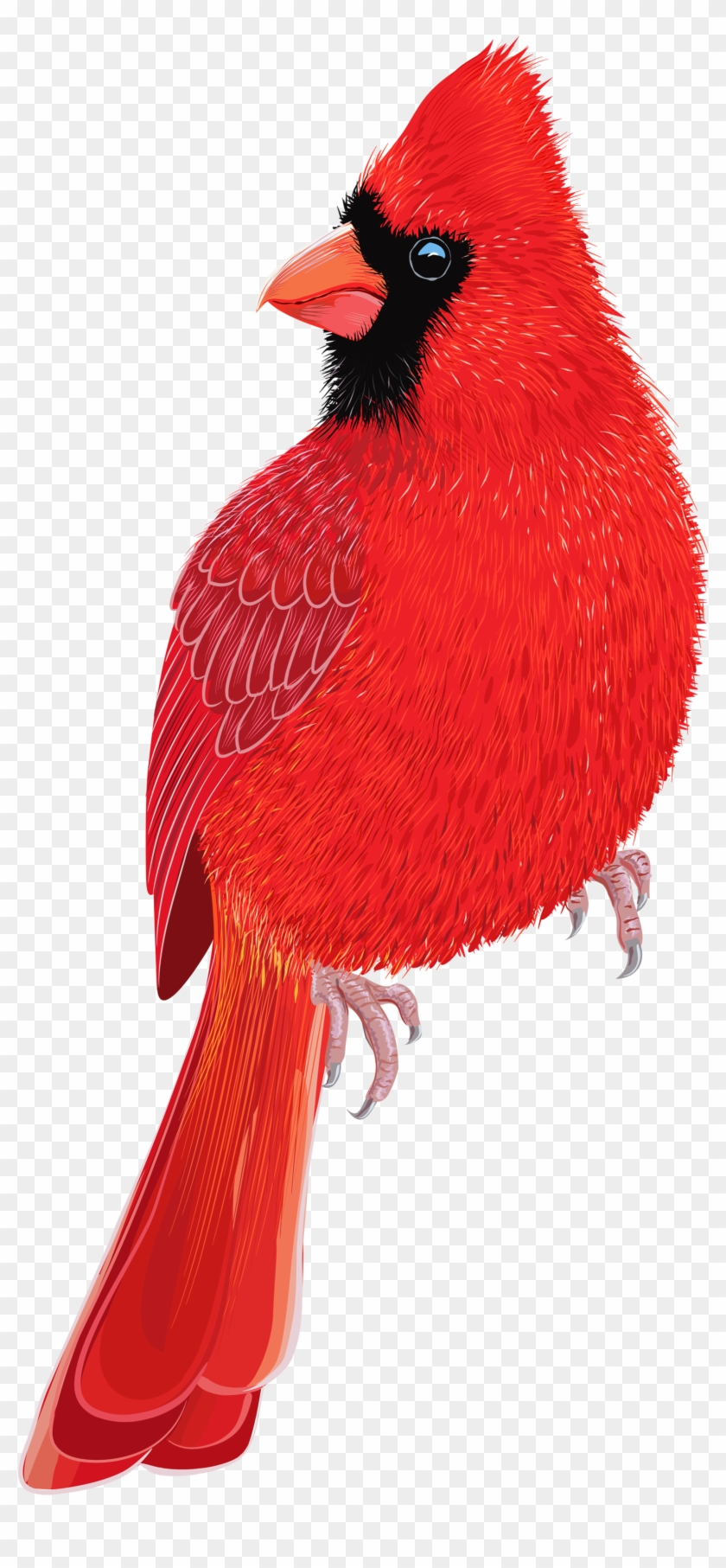 Red Bird Png Clipart Image - Pajaros Rojo #275682