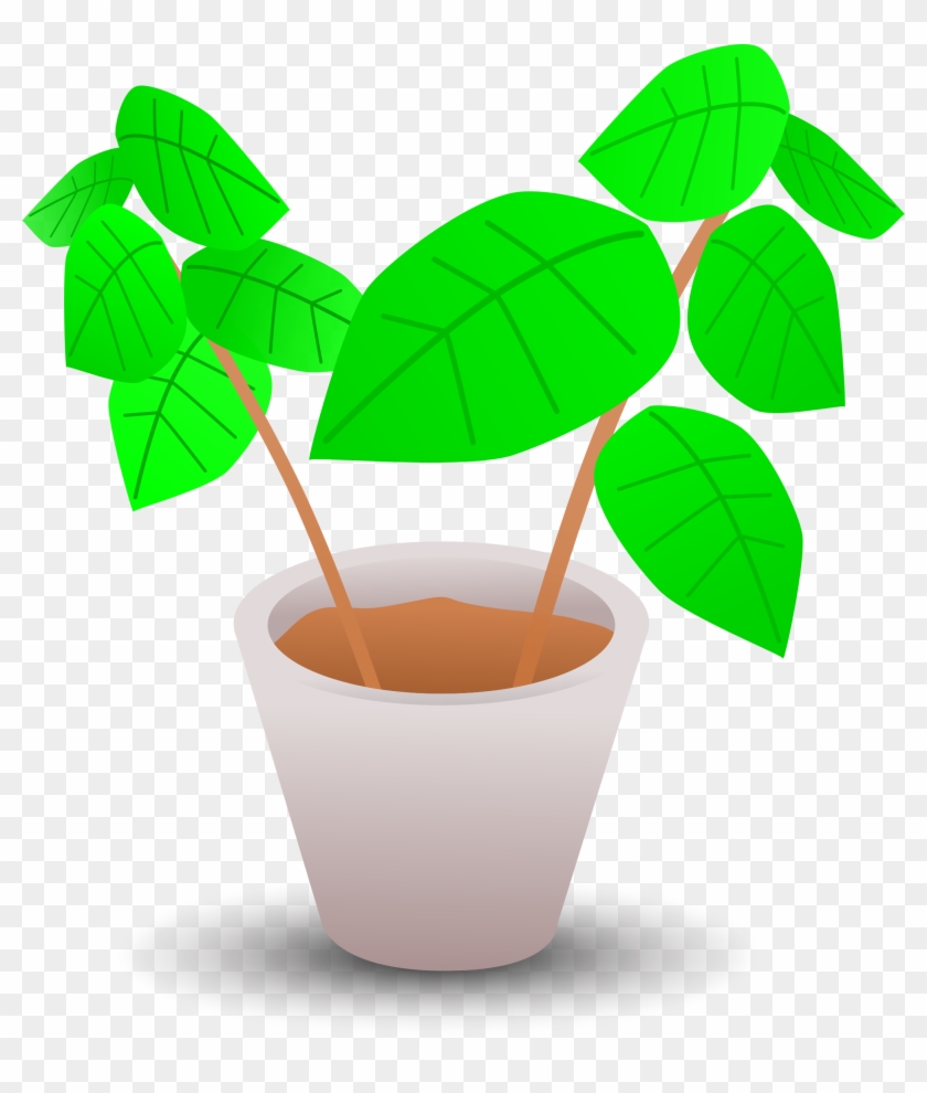 Big Image - Plant In Pot Clipart #278401