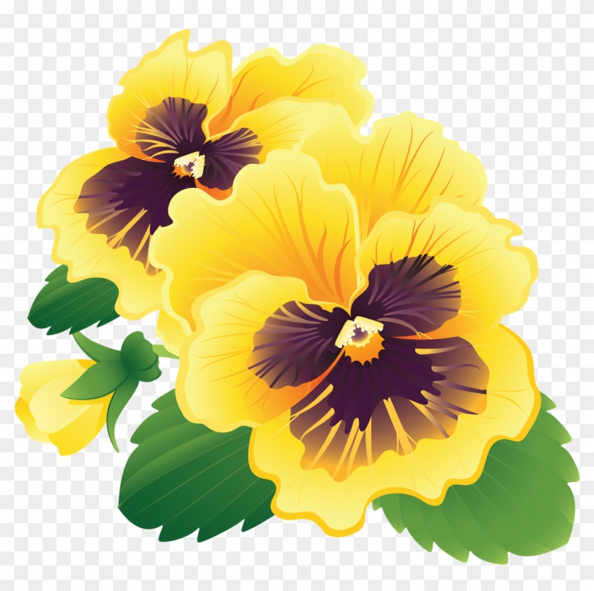 Pansy Flower Clipart