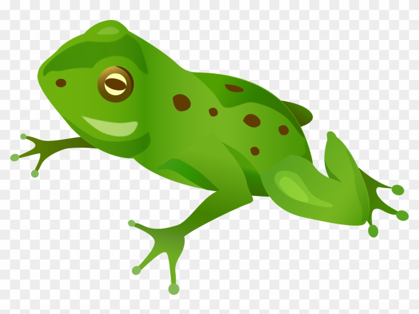 Green Frog Png - Жаба Анимация #282618