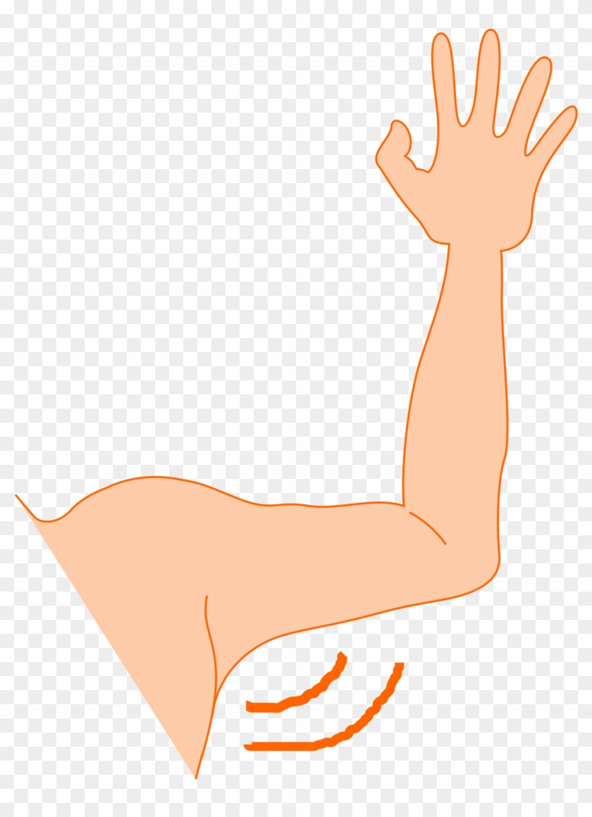 Hand And Forearm Clipart