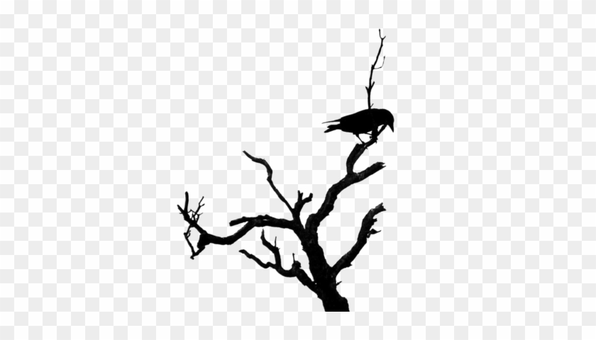 Dead Tree Psd - Dead Tree Branch Silhouette #284555