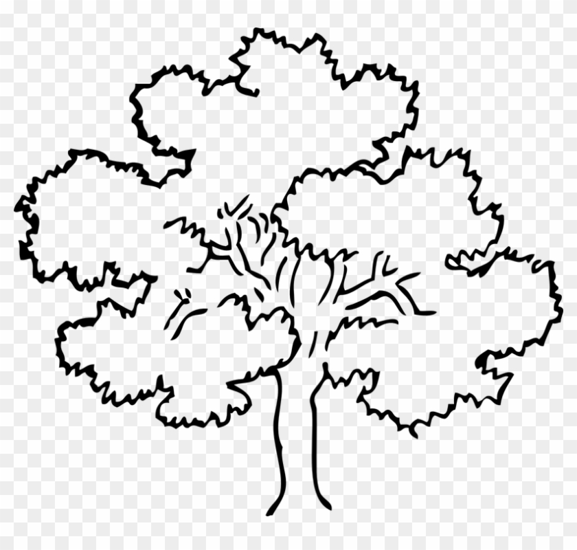 Dead Tree Clipart 19, - Tree Black And White #284580