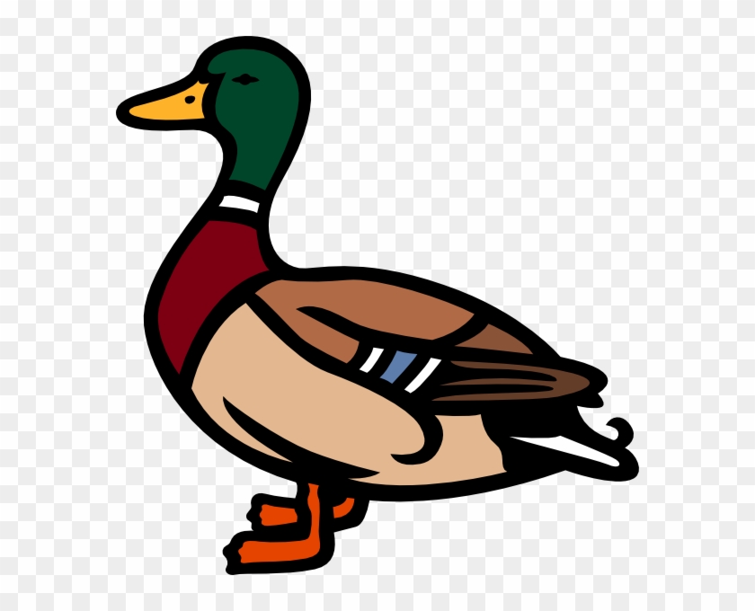 Canard Clip Art #284979