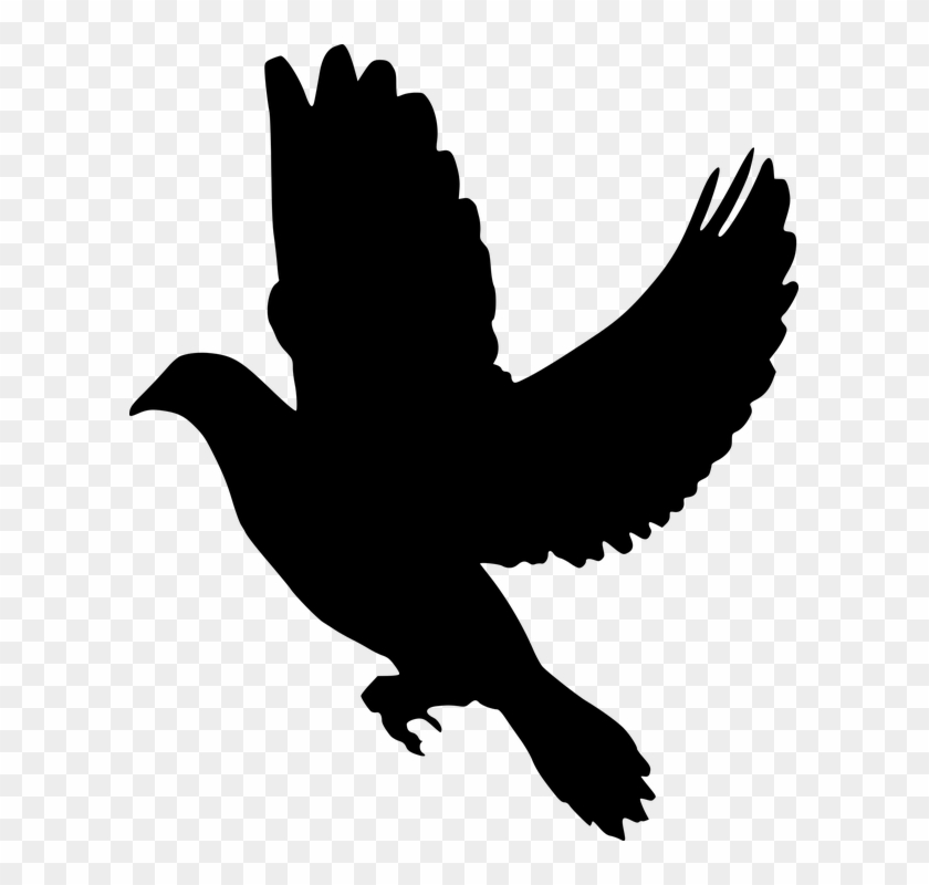 Silhouette, Peace, Dove, Flying, Olive, Branch, Symbol - Dove Silhouette #285126