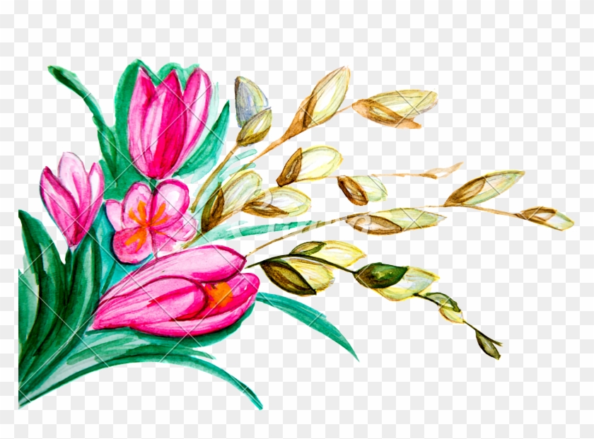 Hand Drawn Markers And Paints Bouquet - Tulipa Humilis #285333