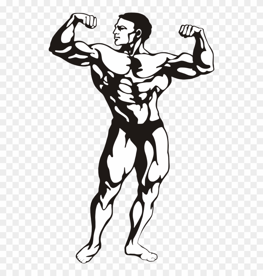 Medium Image - Bodybuilder Clipart #286136