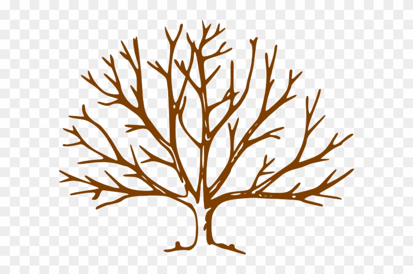 Tree With Branches Clipart #286316