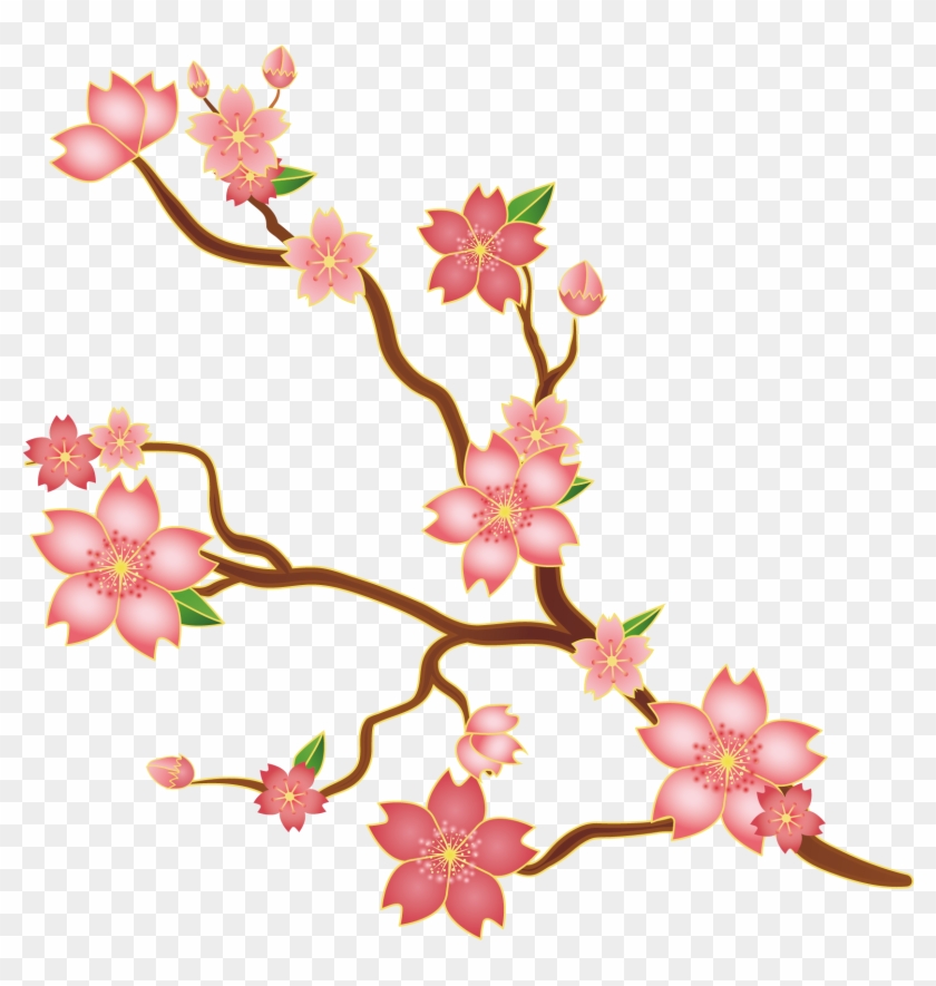 Cherry Blossom Floral Design Euclidean Vector Illustration - Cherry Blossom Illustration Png #286754