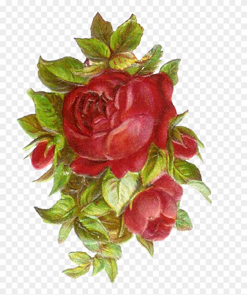 Vintage Roses Images - Vintage Roses Images - Free Transparent PNG ...