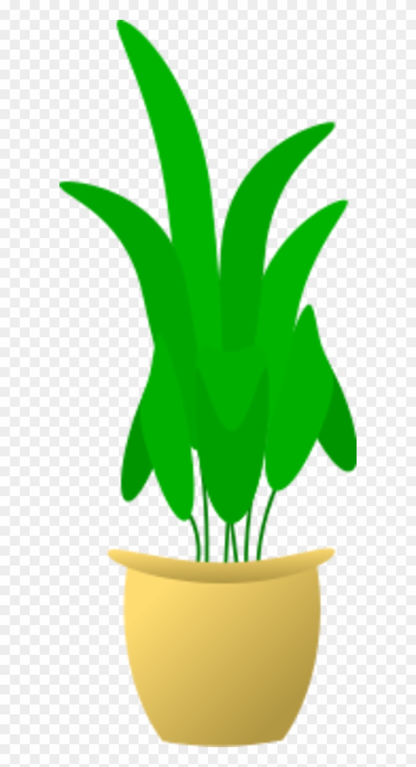 Pot Plant Clipart Potted Plant - Plant In Pot #287240