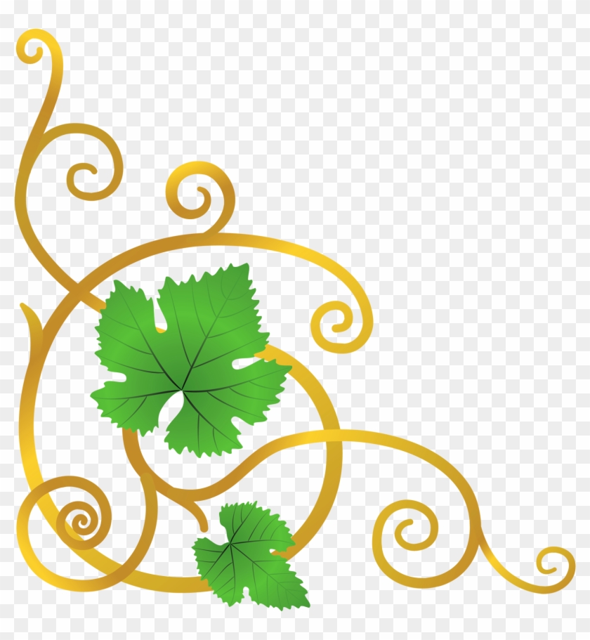 Vine Clipart Transparent - Transparent Cliparts Vine #288774