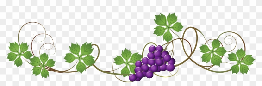grape vine corner border