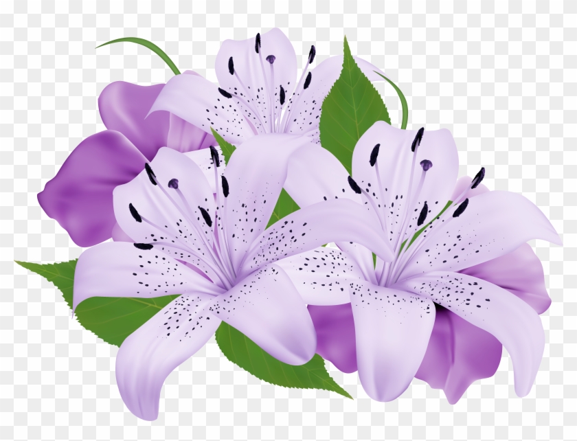 Lopez Flowers Encinitas - Exotic Flower Clip Art #289335