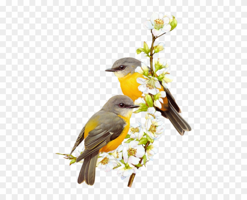 Apricot Branches Of Small Yellow Bird - Birds Paintings Png #289944