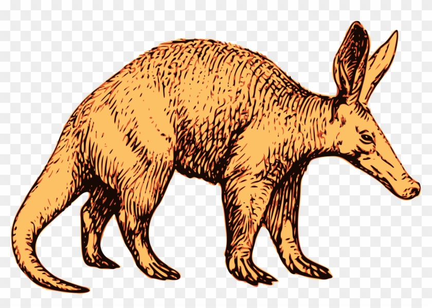 Top 83 Aardvark Clip Art - Aardvark #289954