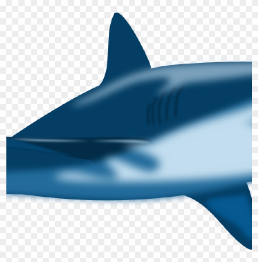 Free Shark Clipart Imagesclipartpandashark Clip Art - Custom Blue Bull Shark Shower Curtain #290966