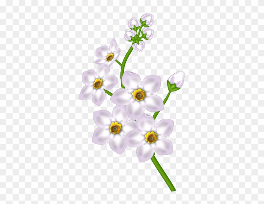 White Flower Clipart White Flower Transparent Clipart - Clip Art #292031