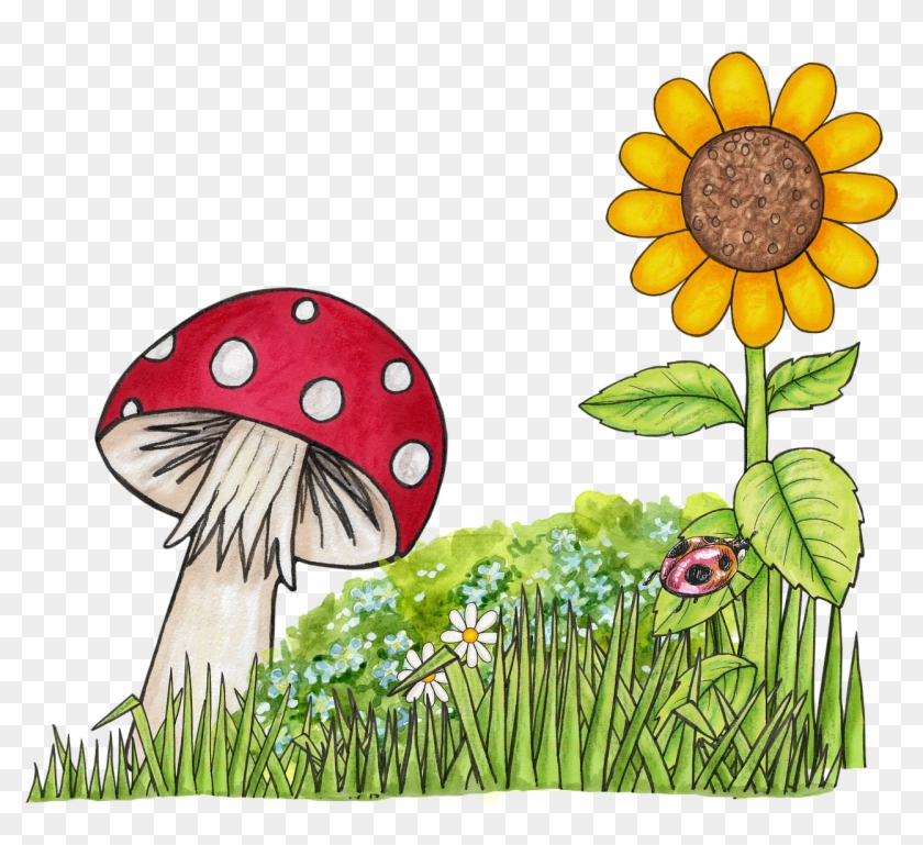 Bulk Herbs - Toadstool Clipart #292491