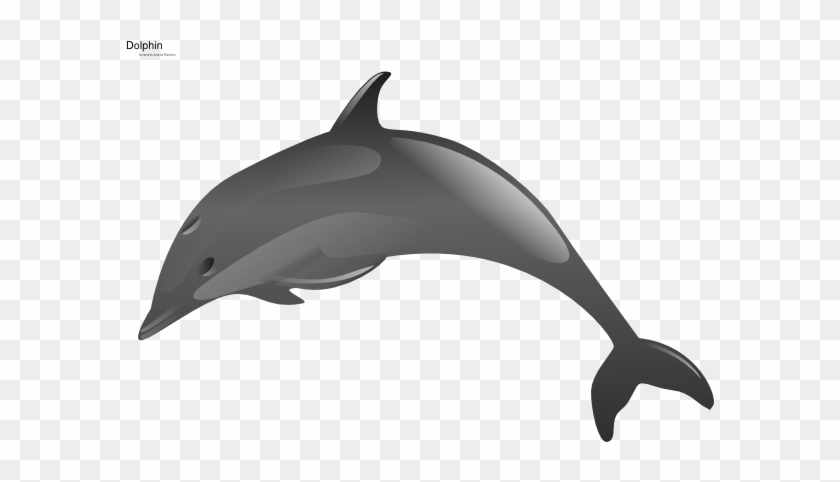 Dolphin Clip Art At Clker - Dolphin J #292692