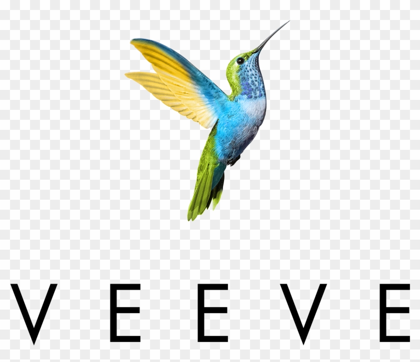 Veeve Logo #294315