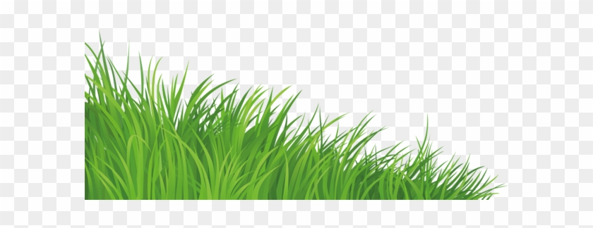 Gras .png #294528