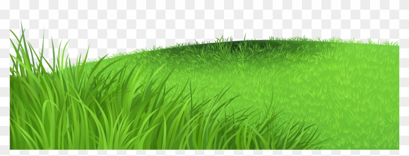 Grass Deco Png Clipart Picture - Clip Art #294772