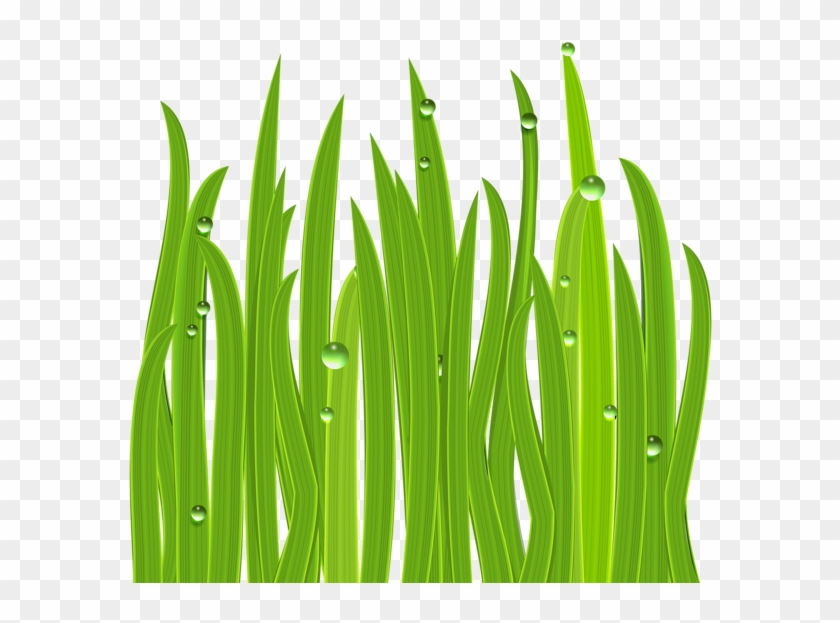 Grass Decor Png Clipart Image - Clip Art #294779