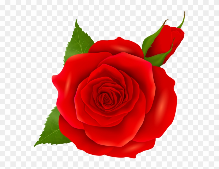 Red Rose And Bud Transparent Png Clip Art - Pink Roses Png - Free ...