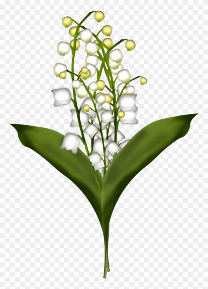 Brin De Muguet17a13 - Gifs Animés Muguet Gif #295716