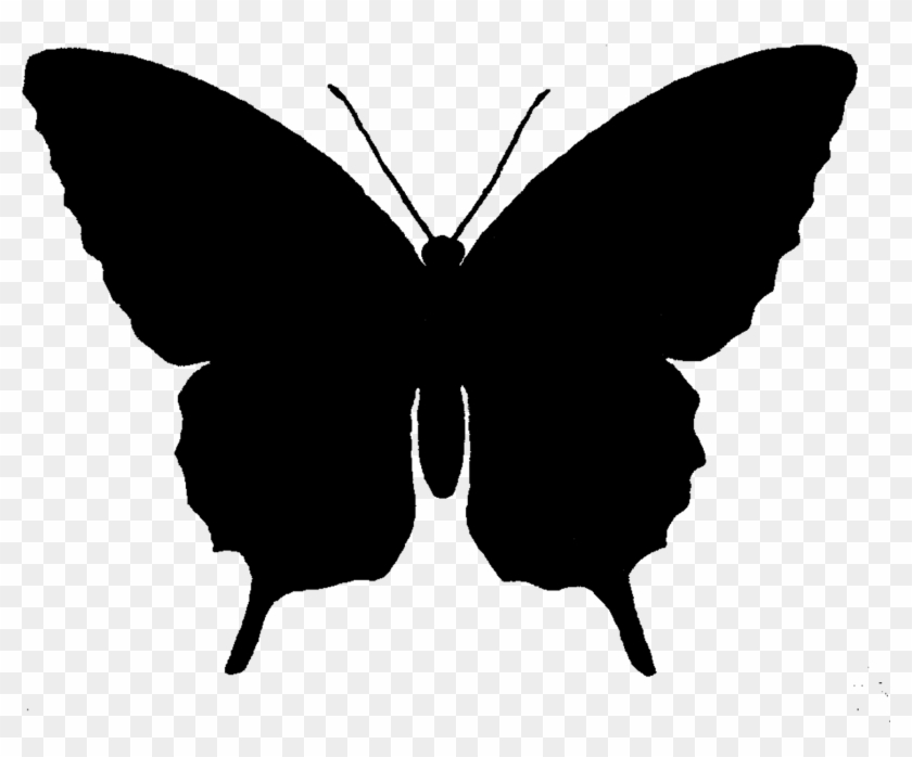 Butterfly Silhouette Clip Art - Butterfly Silhouette #295742