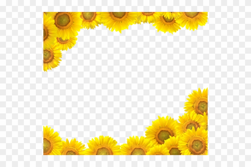 Free Free 105 Sunflower Corner Border Svg SVG PNG EPS DXF File