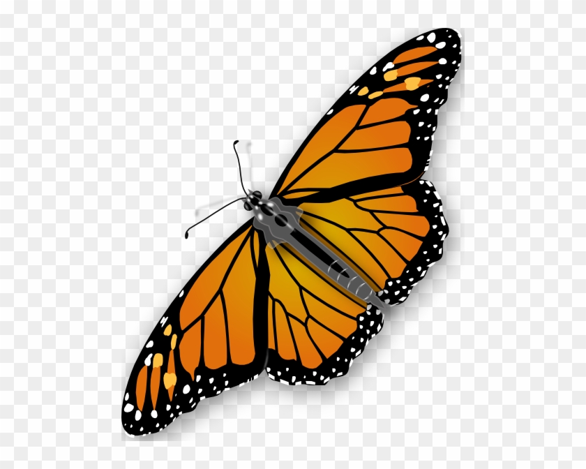 Butterfly Clip Art Free Vector - Butterfly Clipart No Background - Free ...