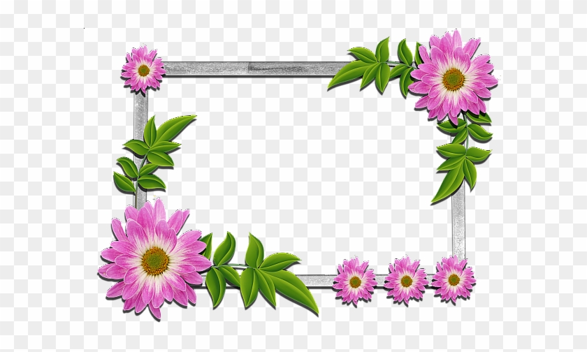 Flowers Frame - Frame Flower #299588