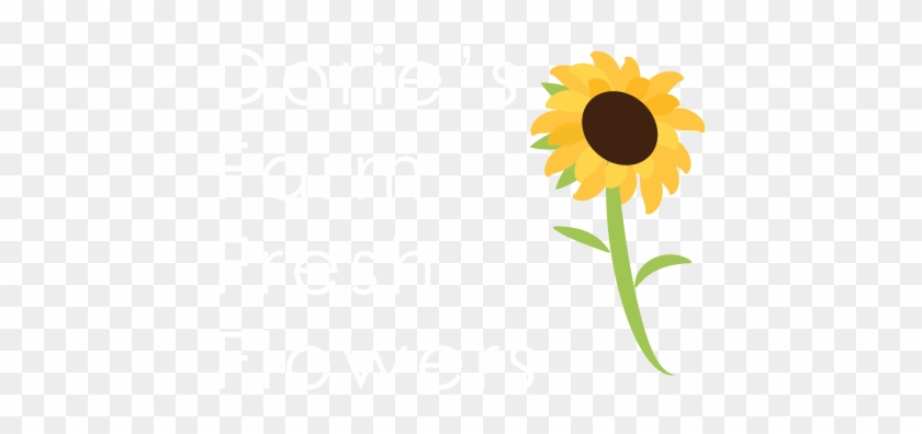 Farm Sunflower Clipart Png #300169