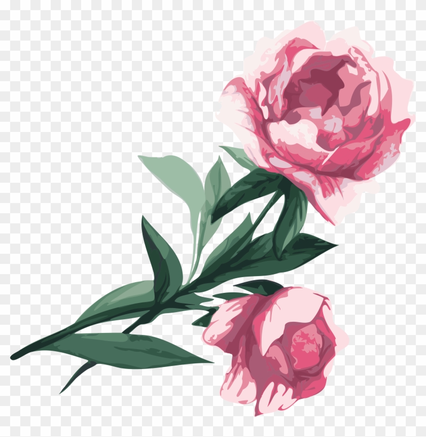 Flower Garden Roses Peony Clip Art - Garden Roses #300894