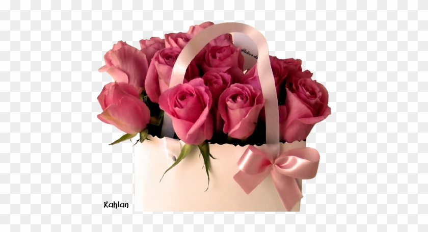 Explore Pink Roses Good Morning Quotes And More Buket Bunga