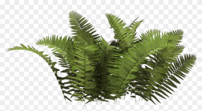 Plants Png Hd - Plants Png #303336