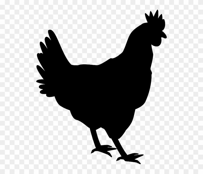 Free Image On Pixabay - Chicken Silhouette Png #303361