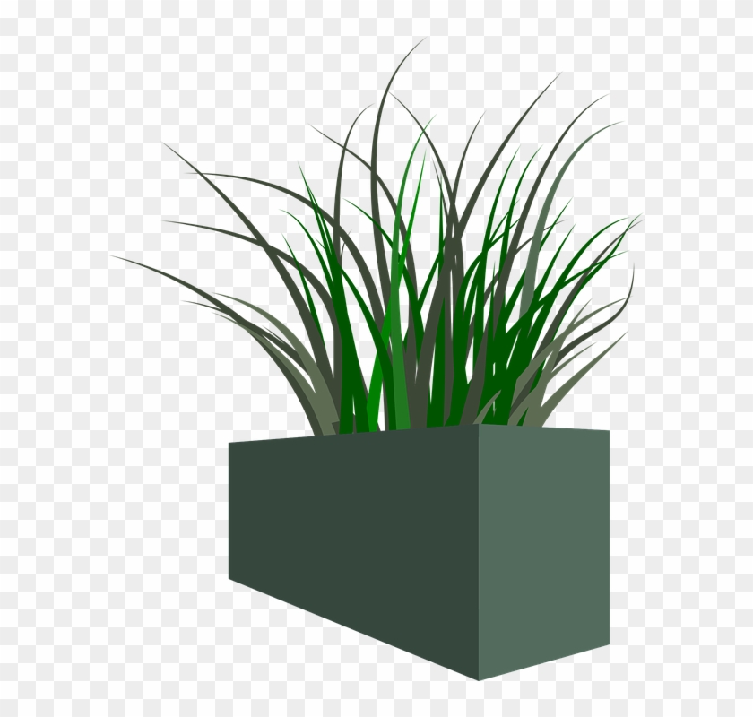 Pot Plant Clipart Transparent - Flowerpot #303410