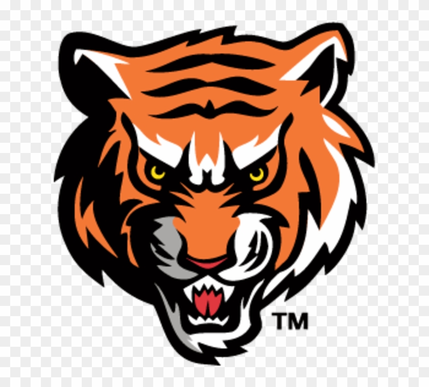 The Georgetown College Tigers Vs - Fern Creek High School Logo - Free ...