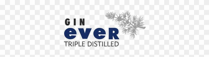 Gin Ever Premium Gin - Gin #305432