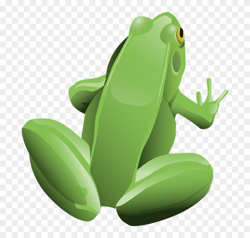 Frog, Amphibian, Animal, Green, Tree Frog - Frog Clip Art #306160