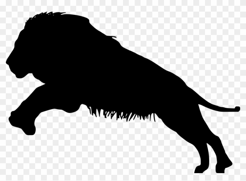 Free Photo Lion Mammal Predator Silhouette Wildlife - Mammal #306387