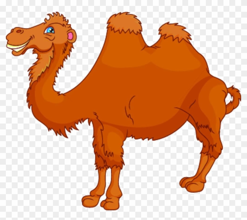 Bactrian Camel Cartoon Royalty-free Illustration - Bactrian Camel Cartoon Royalty-free Illustration #307677