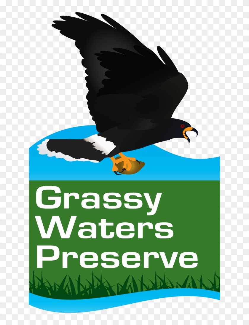 Grassy Waters Logo - Sixties Generation: 24 All Time Classics #310515