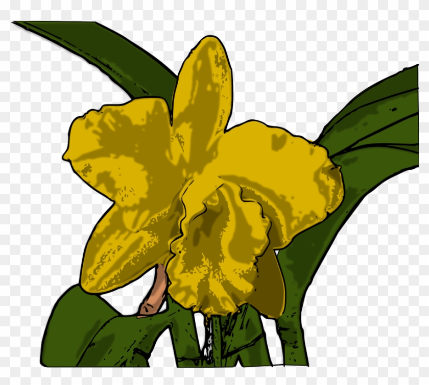 How To Set Use Orquídea Icon Png - Orchids #311128