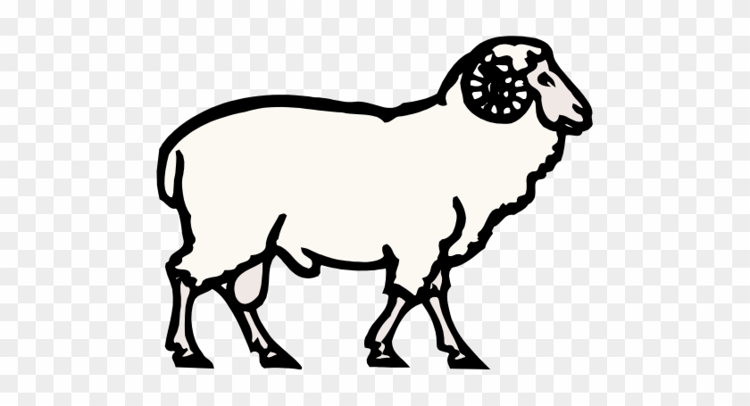 Drawn Sheep Mammal - Vector Graphics #313216