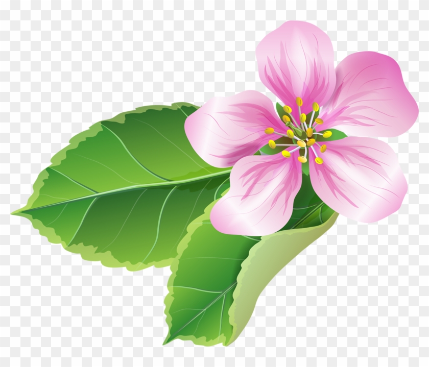 Explora Clipart Flor, Flores Del Arte, ¡y Mucho Más - Melastome Family #313299