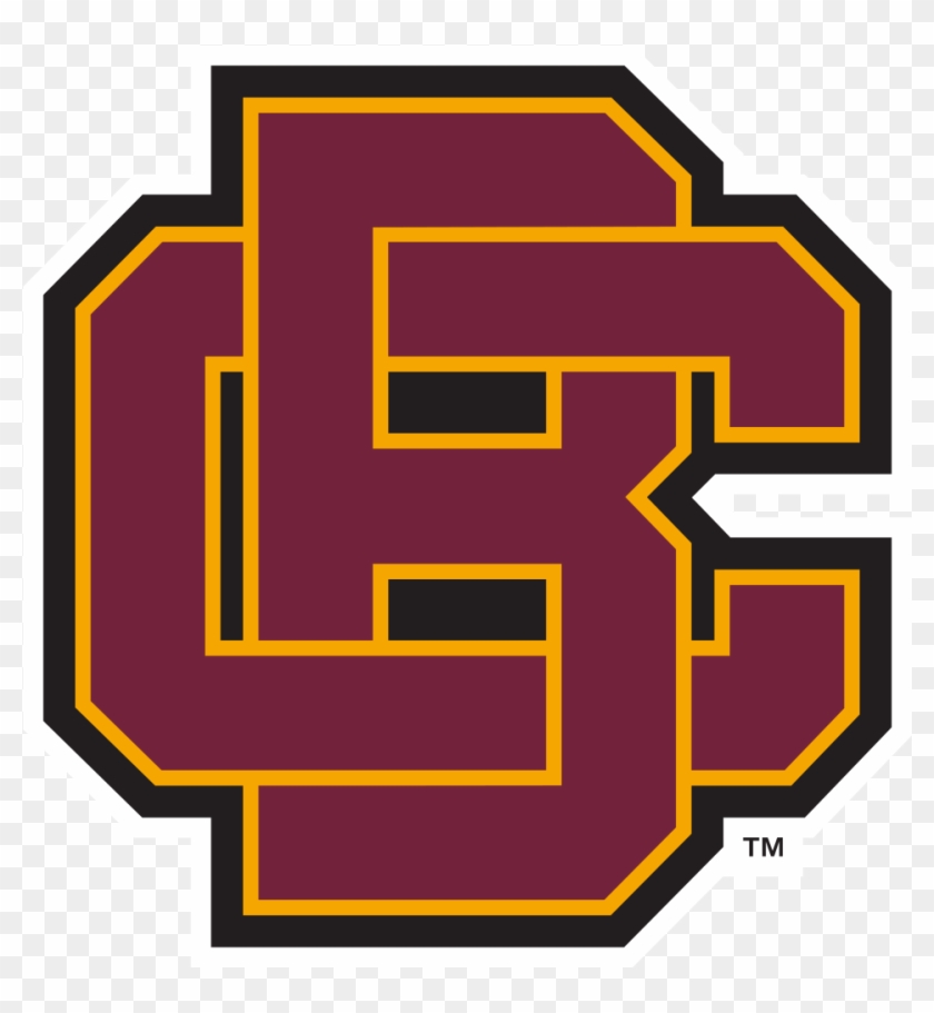 1 - Bethune-cookman Wildcats Removable Wall Decal Logo #317714